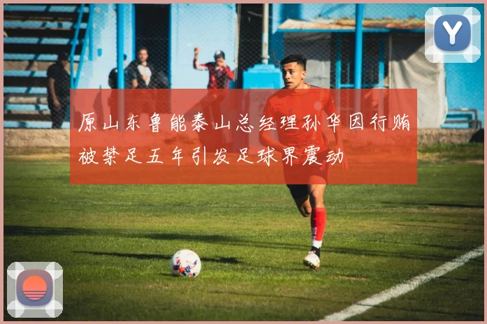 原山东鲁能泰山总经理孙华因行贿被禁足五年引发足球界震动